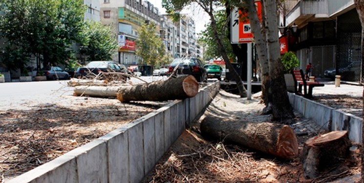 موارد عجیب بودجه ۱۴۰۰ شهرداری تهران/ از رشد دو برابری تراکم‌فروشی تا درآمد ۳۰۰ میلیاردی از قطع درختان!