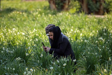 در این شهر نرگس زارهای متعددی به چشم می‌خورد که اوایل فصل زمستان با شکوفا شدن نرگس‌ها، توجه گردشگران زیادی را به سوی خود جلب می‌کند