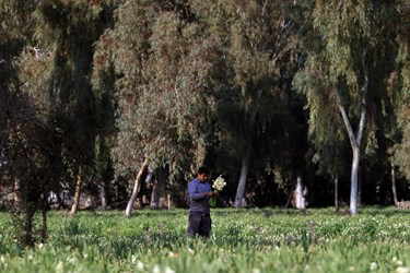 بهبهان با نام قدیمی ارجان از جمله شهرهای زیبای استان خوزستان است که جاذبه ای طبیعی و ارزشمند را در دل خود نهفته دارد