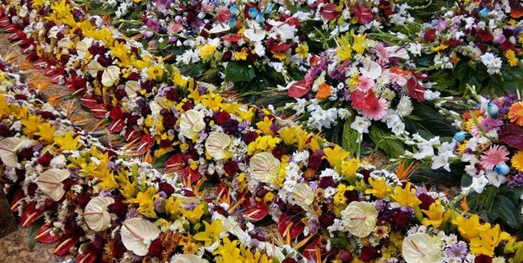 حرم‌های کربلا در اعیاد شعبانیه با ۲ هزار شاخه گل تزئین می‌شود+فیلم