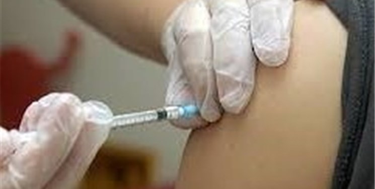 انجام  بیش از ۳۵۰ مورد واکسیناسیون هاری در مشهد از ابتدای سال جاری