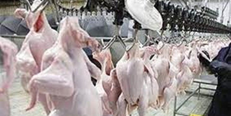 تولید ۴۳۰۰ تن گوشت مرغ و  ۲۰۰۰ تن گوشت قرمز در خراسان رضوی