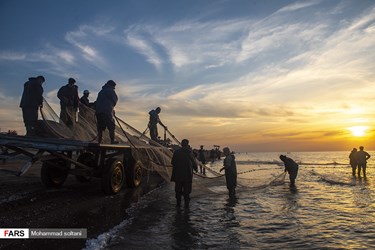 Caspian Sea: Fishing Season Ends in Iran