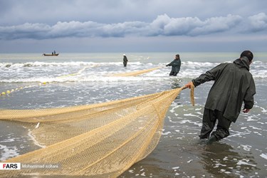 Caspian Sea: Fishing Season Ends in Iran