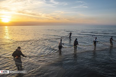 Caspian Sea: Fishing Season Ends in Iran