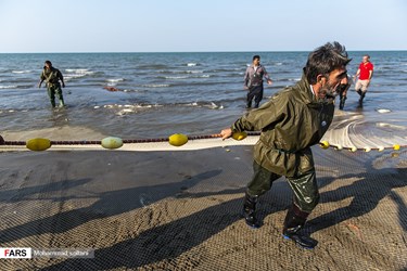 Caspian Sea: Fishing Season Ends in Iran