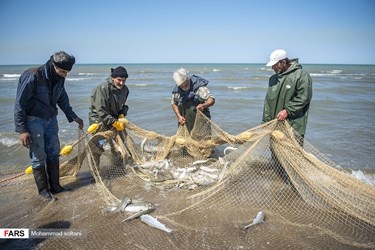 Caspian Sea: Fishing Season Ends in Iran