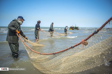 Caspian Sea: Fishing Season Ends in Iran