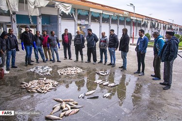 Caspian Sea: Fishing Season Ends in Iran