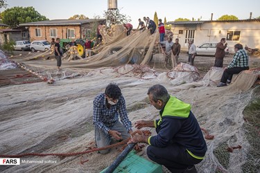 Caspian Sea: Fishing Season Ends in Iran