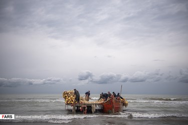 Caspian Sea: Fishing Season Ends in Iran