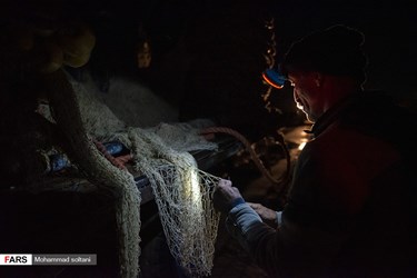 Caspian Sea: Fishing Season Ends in Iran