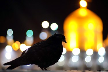 مراسم احیای شب نوزدهم رمضان در حرم مطهر رضوی