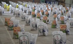توزیع 32 هزار بسته معیشتی و بهداشتی در کردستان