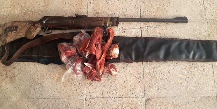 کشف گوشت بزوحشی و ضبط یک قبضه اسلحه گلوله زنی برنو در بندرچارک