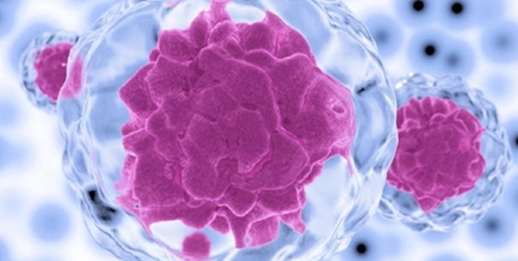چگونه سلول‌های سیستم ایمنی برای درمان سرطان نقش‌آفرینی می‌کند