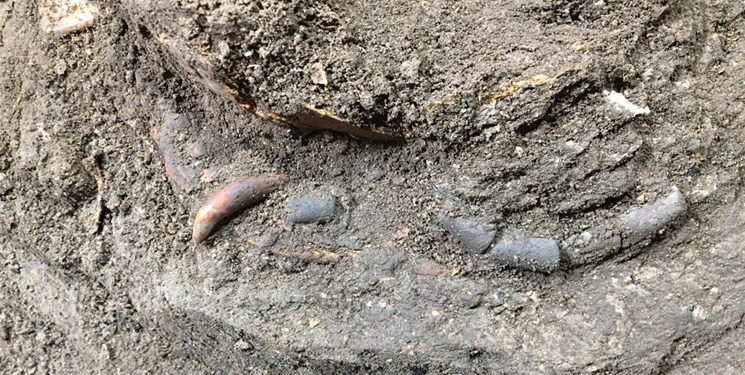 نخستین «رد پای مهر مادری» در غار هوتو، بهشهر کشف شد