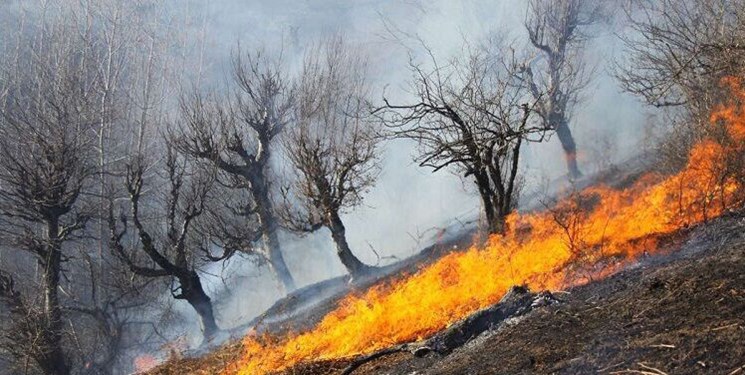 کوه حاتم همچنان در آتش می سوزد/تلاش برای مهار آتش+فیلم و تصاویر