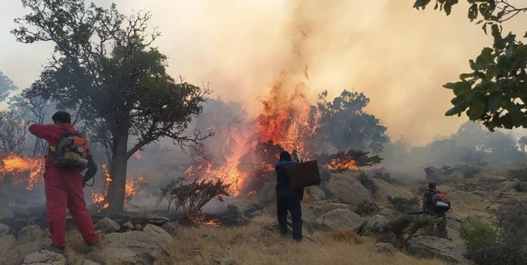دستگیری عامل آتش‌سوزی منطقه شبلیز دنا