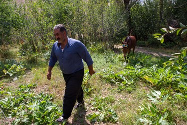 کشاورز روستای شهرستانک