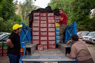 کشاورزان روستایی بار آلبالوی باغ‌های خود را برای فروش و قیمت گذاری به میدان اصلی روستا می‌آورند و سپس از آنجا به میادین میوه و تره‌بار انتقال میابد.