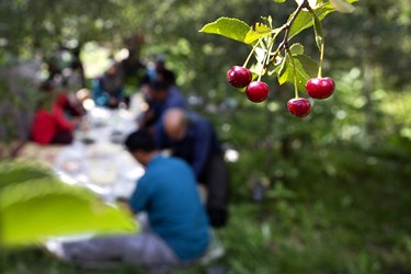 استراحت اعضای خانواده کشاورزان روستایی