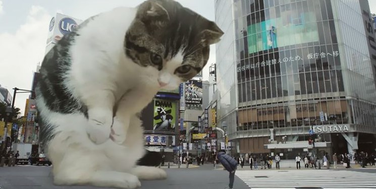 تبلیغات ژاپنی با گربه غول پیکر!+ فیلم