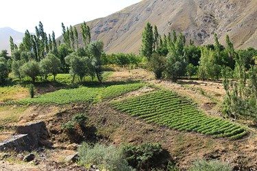 »میج«آخرین روستای غربی مازندران