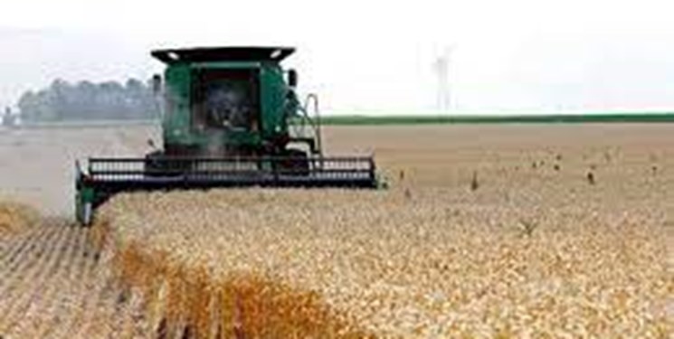 10 درصد گندم کشور در کردستان تولید می‌شود/قدردانی نمایندگان کشاورزان از افزایش قیمت گندم