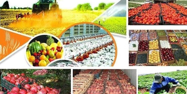 خریداری ۳۶۰۰۰ تن محصولات کشاورزی در گیلان توسط تعاونی‌ها