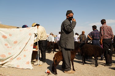 پیرمردی با گوسفند خود در انتظار آمدن مشتری ایستاده است. او برای حفاظت از ابتلا به بیماری کرونا بر چهره اش ماسک زده است.