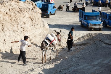 پسران نوجوان برای گذراندن یکی از روزهای تعطیلات تابستانی خود به همراه پدرشان به بازار دام و حیوانات خسروشاه آمده اند، در حال راه بردن الاغ هستند.