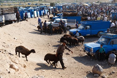 نمایی از بازار هفتگی دام و حیوانات خسروشاه