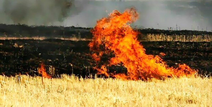 آتش‌سوزی ۴۰ تن جو و کاه در روستای نوده چناران