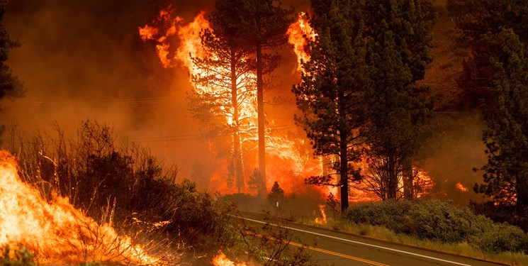 جهنم کالیفرنیا؛ 5400 آتش‌نشان در تلاش برای مهار آتش‌سوزی+فیلم و عکس