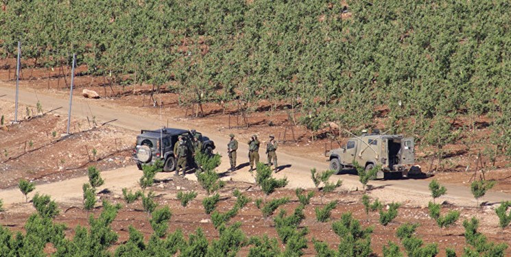 گله دزدی دوباره نظامیان صهیونیست‌ از جنوب لبنان