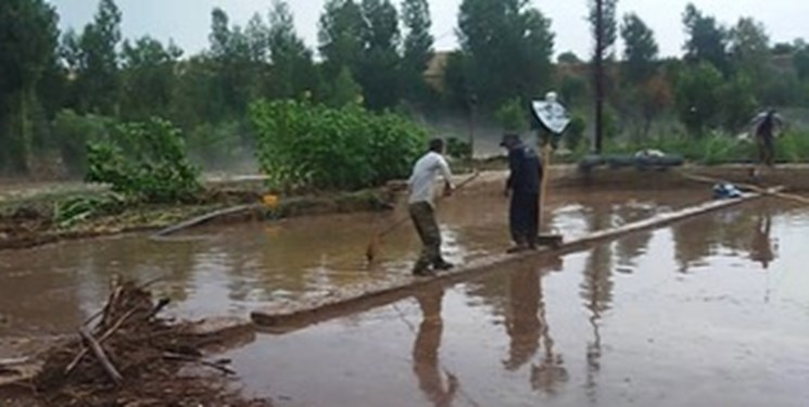 اقدامات ضربتی پس از سیلاب در مازندران
