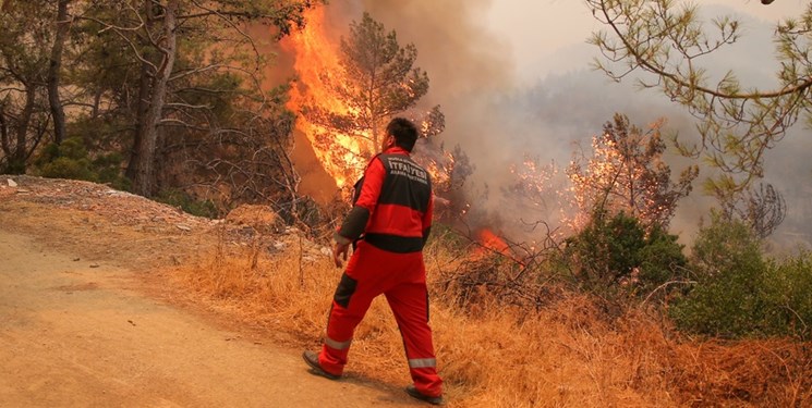 آتش‌سوزی ارتفاعات روستای «میراث خانی» طارم مهار شد