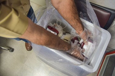 بسته بندی کیسه های خون در جعبه های مخصوص جهت انتقال به مرکز خون