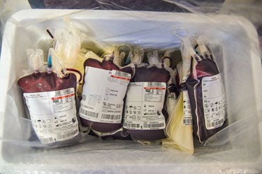 بسته بندی کیسه های خون در جعبه های مخصوص جهت انتقال به مرکز بانک خون