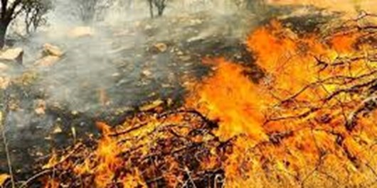 آتش‌سوزی در ارتفاعات صعب‌العبور عنبرآباد/نیاز فوری به بالگرد و تجهیزات؛ اعزام نیروهای پیاده به محل