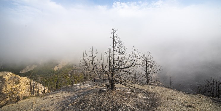 هشدار آتش‌سوزی در عرصه‌های طبیعی و جنگلی آذربایجان‌شرقی