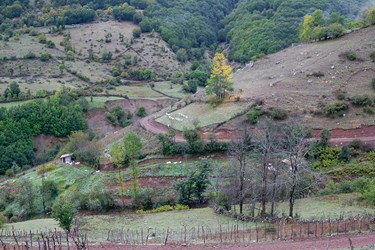 گام‌های آرام پاييز در كوهستان 
