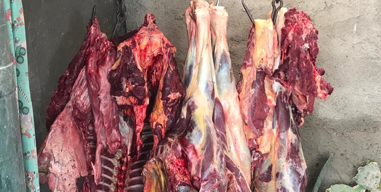 کشف ۵۰۰ کیلوگرم گوشت کشتار غیرمجاز در کرمانشاه