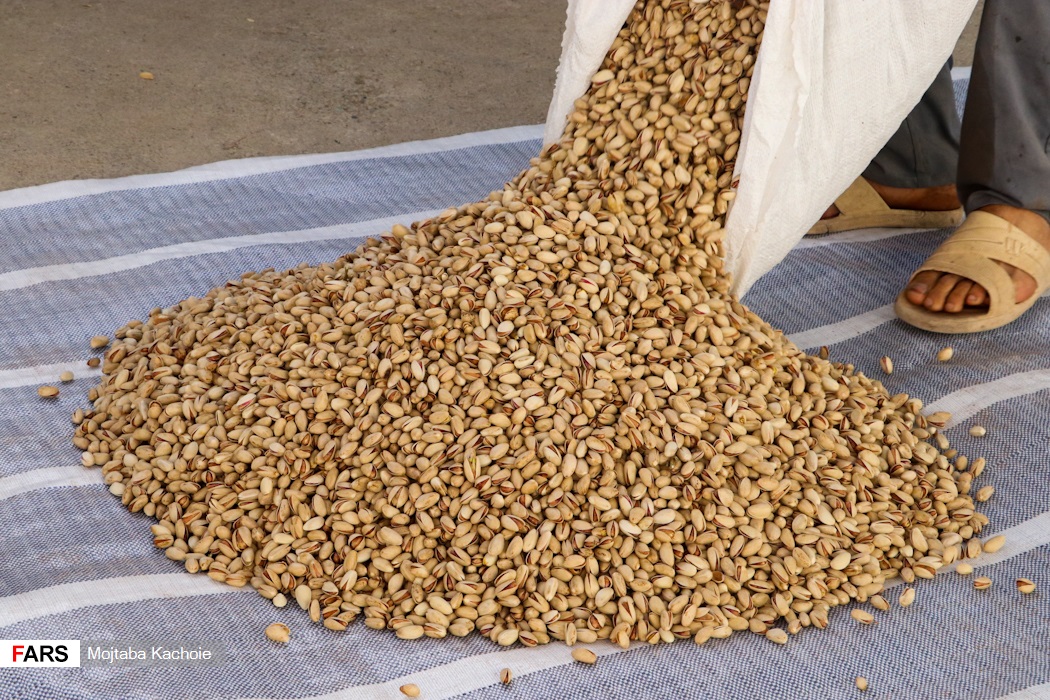 ورامين