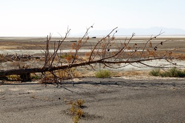 ساحل خشک بندر شرفخانه در شمال‌شرق دریاچه ارومیه.