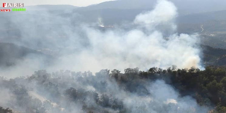 جنگل های سی سخت در آتش سوخت+تصاویر و فیلم
