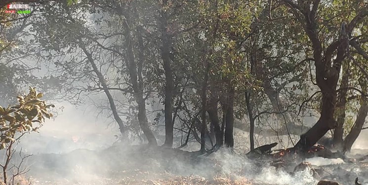 آتش سوزی گسترده در ارتفاعات کازرون