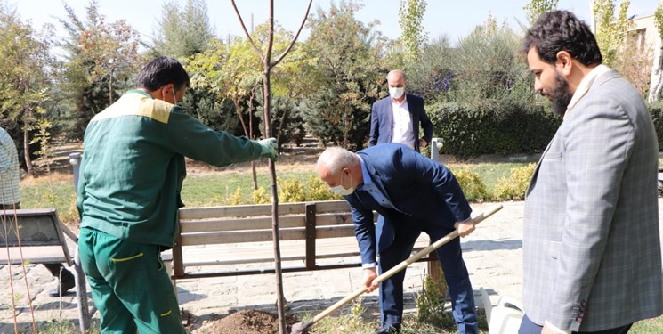 شش درخت زیتون در دانشگاه امام صادق(ع) کاشته و به یاد شش اسیر فلسطینی نام‎گذاری شد