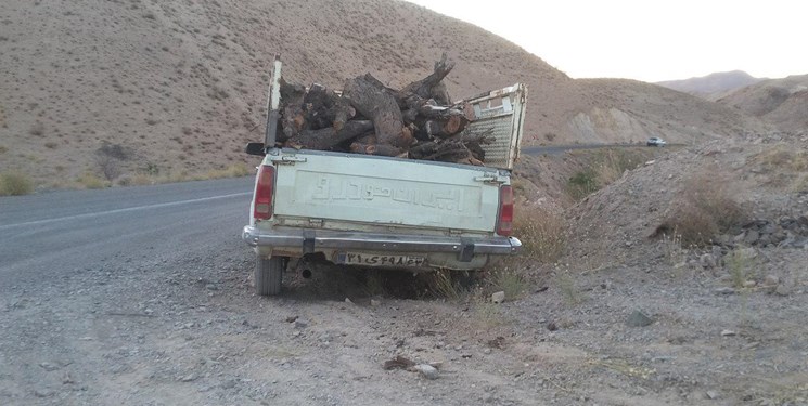 تاراج منابع طبیعی خراسان جنوبی زیر سایه بی‌خبری/ درختانی که ذغال می‌شود